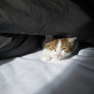 Meet your Posher, Andréanne